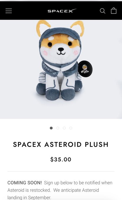 The image shows a screenshot from the SpaceX website, where an advertisement for the SpaceX Asteroid plush toy has been posted. The text reads that these toys are coming soon and will be available at $35.00 each. The website also mentions the launch of space projects in September and shares an emotional message about Asteroid being Elon's favorite celestial body. It indicates that Asteroid is now a part of our real world, as per the caption provided on this advertisement.