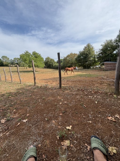 A first-person view from a seated position, showing green crocs and feet near a small glass, looking out over a fenced dirt paddock where a brown horse stands under a partly cloudy sky.