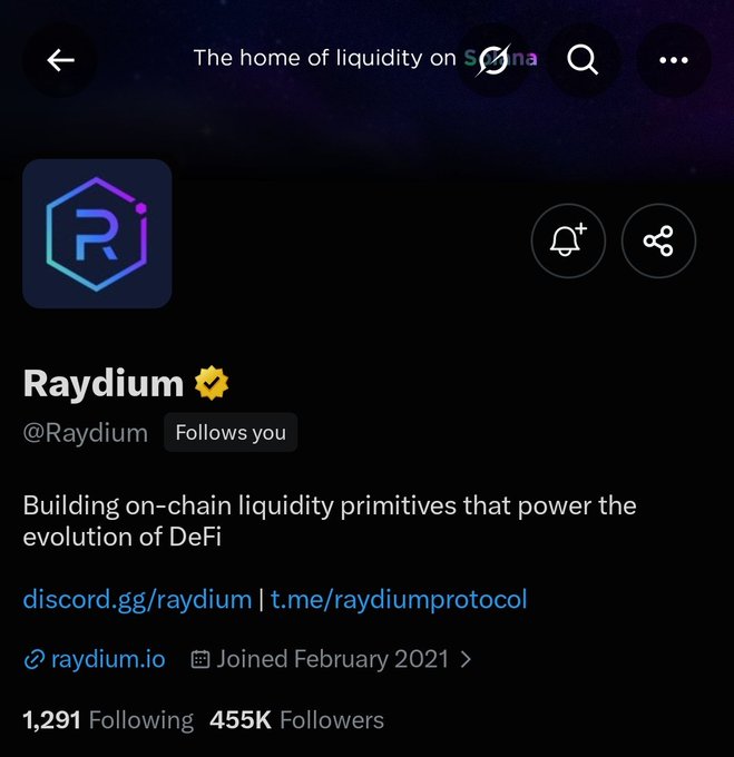 A Twitter/X profile page for 'Raydium' (@Raydium), a verified account describing itself as 'Building on-chain liquidity primitives that power the evolution of DeFi' with 455K followers.