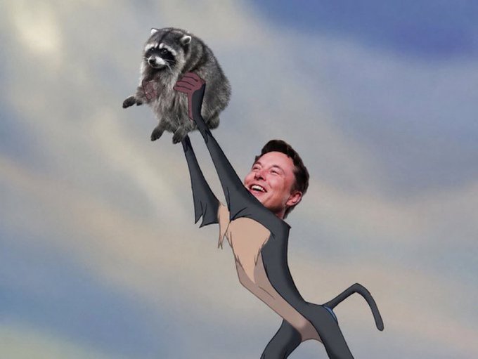 The image shows a cartoon figure of Elon Musk triumphantly hoisting a raccoon high into the air against a cloudy sky, echoing the iconic "Lion King" Pride Rock scene. The "Two Kings" caption plays on Musk's "King" status in the tech world, with the raccoon symbolizing his bold, unconventional spirit or perhaps a playful nod to another reigning figure.