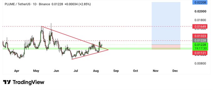 A daily PLUME/USDT chart on Binance shows price at 0.01228 (+2.85%), featuring a descending triangle pattern with a breakout and retest near the 0.01228 support level, with highlighted resistance at 0.01323 and 0.01649, aligning with the post's view that accumulation is underway before a move toward the take-profit targets.