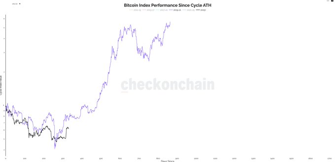 A chart titled "Bitcoin Index Performance Since Cycle ATH" from checkonchain shows two lines tracking log-scaled cycle price over days since the all-time high, with one line (likely the current cycle, in black) closely tracking a previous bear cycle before pulling away to new peaks, visually supporting the post's claim that the recent downturn was a mid-cycle correction rather than a full bear market.