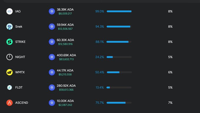 A cryptocurrency dashboard displaying various tokens (IAG, Snek, STRIKE, NIGHT, WMTX, FLDT, ASCEND) with their ADA amounts, USD values, and percentage progress bars.