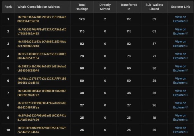 A table titled 'Whale Consolidation Address' showing ranks 1-10 with columns for 'Total Holdings', 'Directly Minted', 'Transferred In', and 'Sub-Wallets Linked', along with cryptocurrency addresses and explorer links.