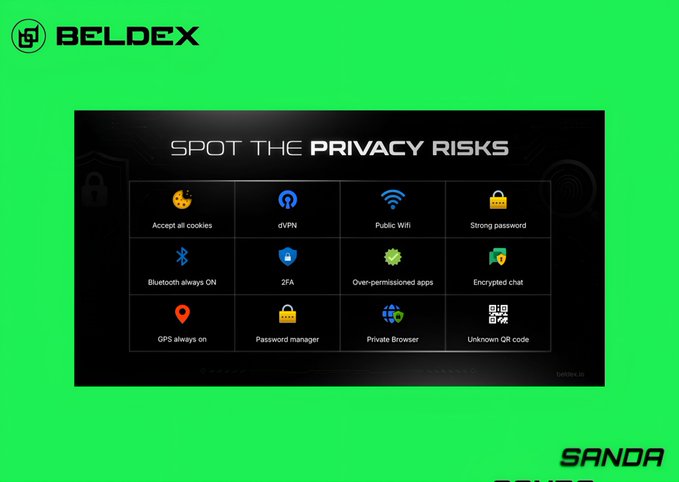 A green promotional graphic titled "SPOT THE PRIVACY RISKS" displays a 4x3 grid of icons with labels including "Accept all cookies," "dVPN," "Public Wifi," "Strong password," "Bluetooth always ON," "2FA," "Over-permissioned apps," "Encrypted chat," "GPS always on," "Password manager," "Private Browser," and "Unknown QR code," with the "BELDEX" logo at the top.