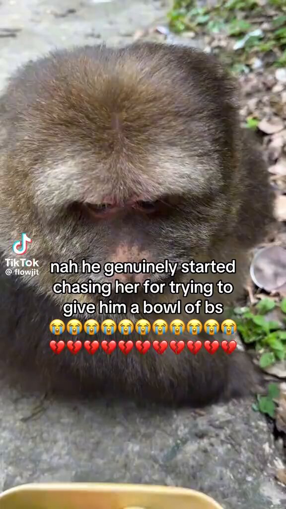 None