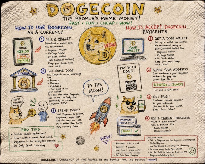 An illustrated infographic titled 'DOGECOIN: THE PEOPLE'S MEME MONEY!' featuring a Shiba Inu dog in a space helmet and explaining how to use Dogecoin as currency and how to accept Dogecoin payments, including pro tips and payment processor options.