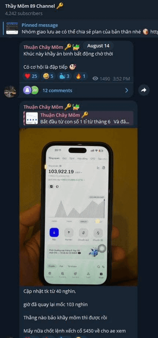 A Telegram channel called 'Thầy Môm 89 Channel' with 4,242 subscribers shows a pinned message from August 14 with 1,490 views about stock trading, followed by a screenshot of a stock portfolio showing 103,922.19 USD with a market value graph.