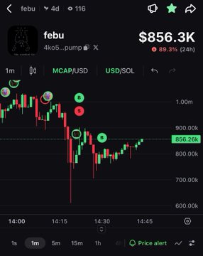 A trading chart for 'febu' (4kco5...pump) showing a price of $856.3K with an 89.3% drop in 24 hours, displaying MCAP/USD and USD/SOL pairs with candlestick patterns.
