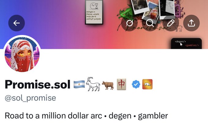 A Twitter profile for "Promise.sol" (@sol_promise) featuring a cat avatar in a red hood and displaying the bio "Road to a million dollar arc • degen • gambler," alongside a hand-drawn note reading "Solana is finance, where code and capital prints," with the post highlighting the account has "0 haters."