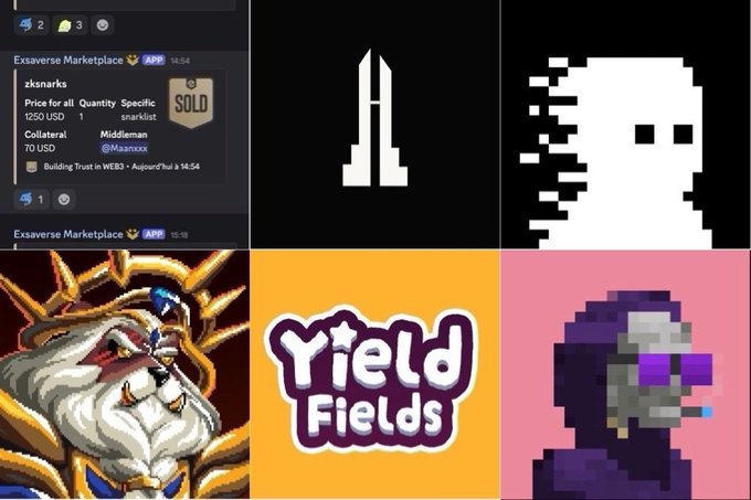 A collage celebrating recent NFT successes, featuring sold listings on Exaverse Marketplace for "zksnarks" at 1250 USD each, alongside pixel-art logos and characters from "Yield Fields" and a poppies NFT collection, reflecting the post's claim of strong NFT gains including free collections now worth thousands on the ZEC chain.