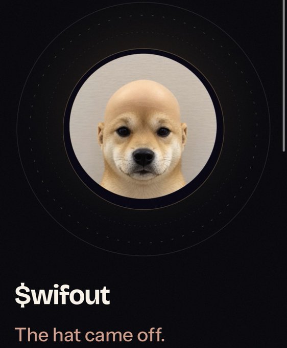 A humorous image showing a dog (Chihuahua) appearing to be a human wearing a bald cap, with the text "$wifout" and "The hat came off."