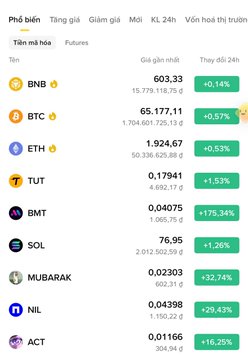 A cryptocurrency trading dashboard on Binance shows real-time price gains, with BNB at $603.33 (+0.14%), BTC at $65,177.11 (+0.57%), and ETH at $1,924.67 (+0.53%), while smaller cap tokens dominate the gains column, including TUT (+1.53%), BMT (+175.34%), SOL (+1.26%), MUBARAK (+32.74%), NIL (+29.43%), and ACT (+16.25%). This aligns with the post highlighting TUT's standout performance surpassing BTC and ETH, alongside dramatic surges in lesser-known BNB Chain ecosystem coins driving heavy liquidations.