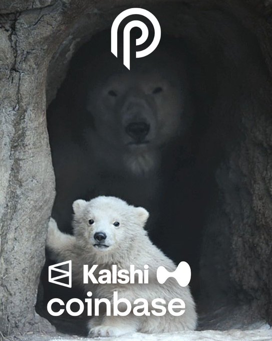 The image features two polar bears standing next to each other - one adult bear and one baby bear. The adult bear appears to be guarding or protecting the baby bear as they both stand together, possibly in a cave-like setting. The background of the image is dark, which contrasts with the white fur of the bears.