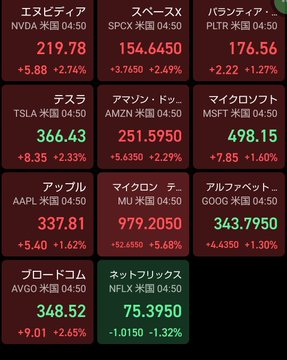 A stock market dashboard in Japanese showing real-time prices for US stocks including Nvidia (NVDA) at $219.78, SpaceX at $154.645, Palantir (PLTR) at $176.56, Tesla (TSLA) at $366.43, Amazon (AMZN) at $251.5950, Microsoft (MSFT) at $498.15, Apple (AAPL) at $337.81, Micron (MU) at $979.2050, Alphabet (GOOG) at $343.7950, Broadcom (AVGO) at $348.52, and Netflix (NFLX) at $75.3950.