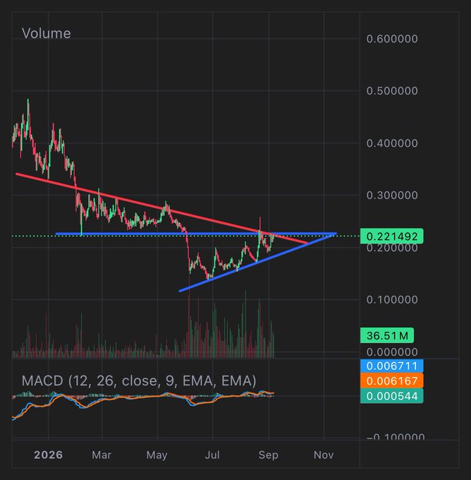 A financial candlestick chart titled 'Volume' showing price action converging in a symmetrical triangle pattern, with a key resistance level marked at 0.221492 and MACD indicator below, spanning 2026 from March to November.