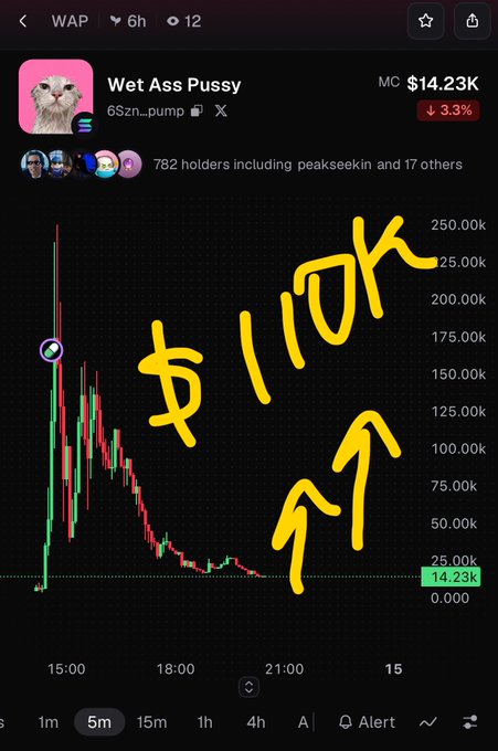 Crypto chart screenshot of the 'Wet Ass Pussy' (WAP) meme token showing a massive drop from ~$250k to $14.23K market cap, with hand-drawn yellow text '$110K' and arrows pointing to a price level.
