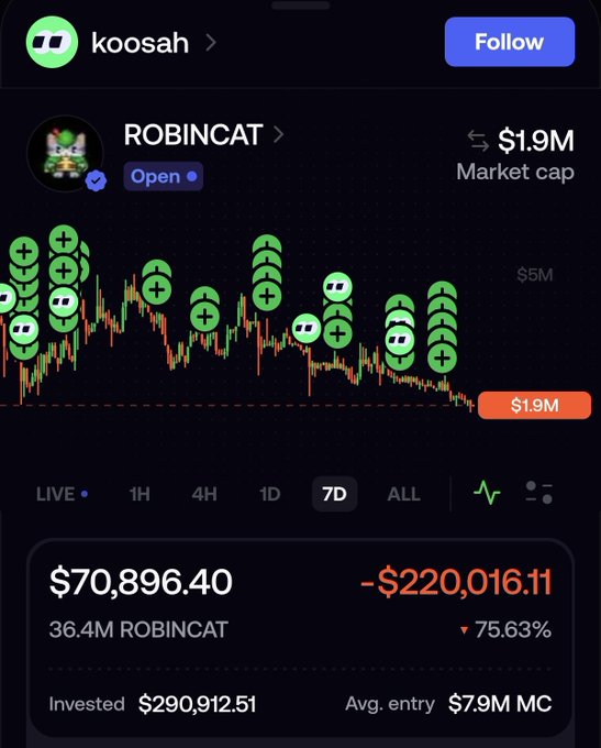 A mobile trading app screen showing a wallet named 'koosah' tracking ROBINCAT token, displaying a current value of $70,896.40 with a loss of -$220,016.11 (-75.63%).
