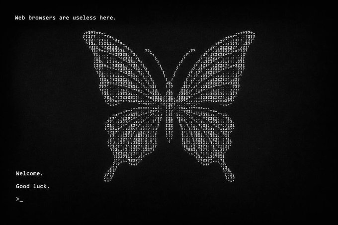 A black screen displays a butterfly made entirely of white ASCII text characters, accompanied by the messages 'Web browsers are useless here.', 'Welcome.', 'Good luck', and a command prompt '>_'.