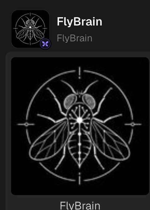 Mobile app listing for 'FlyBrain' showing a black background with a white symmetrical geometric illustration of a fly-like insect inside a circular targeting reticle design.