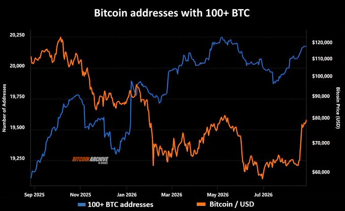 A chart titled "Bitcoin addresses with 100+ BTC" tracks the number of whale addresses (blue line, ~19,100 to 20,250) against Bitcoin's USD price (orange line, ~$55,000 to $120,000) from September 2025 through July 2026, showing that whale accumulation has steadily climbed to near all-time highs even as BTC price fluctuates—reinforcing the post's warning that whales are accumulating and holders should not sell to them.