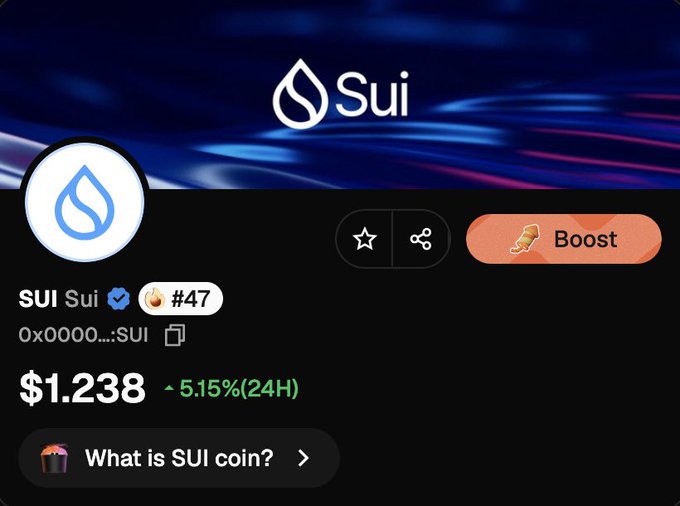 The image shows a Sui (SUI) cryptocurrency listing displaying its current price of $1.238 with a 5.15% increase over 24 hours, ranked #47. This supports the post's bullish claim that buying SUI near $1 represents an early investment opportunity, with the poster projecting a target of $50 by end of 2026.