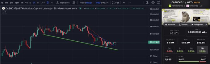 A TradingView chart of CASHCAT/WETH on Uniswap shows the price at $120.24 with a 0.07% decline, accompanied by a right sidebar displaying additional token metrics and a social media panel featuring a cat image and links to Website, Twitter, and Telegram.