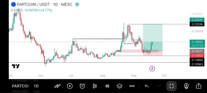 A cryptocurrency candlestick chart for "FARTCOIN / USDT" on MEXC, showing a price of 0.16902 with a +4.77% increase.