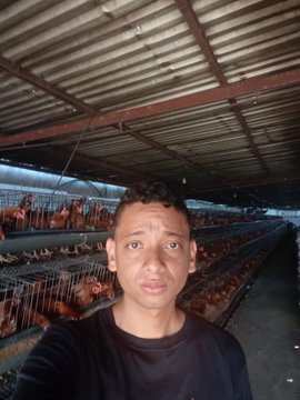A selfie of a man with short curly hair wearing a black t-shirt, standing inside what appears to be a poultry farm with chickens visible in cages behind him.