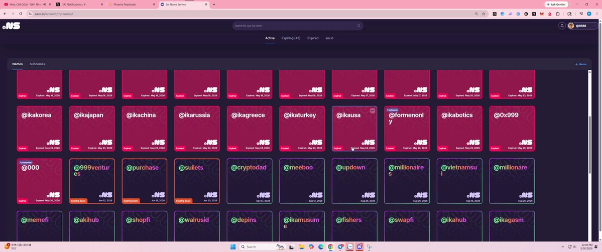 The image shows a computer screen displaying a grid of pink squares with various names written inside them. The names include "Charmander", "Charmander", "Charmander", "Charmander", "Charmander", "Charmander", and "Charmander". The text in the image suggests that these names are related to an online project or service, possibly a social networking platform or a website. The post also mentions that some of the names have expired, indicating that they were not active for a certain period of time.