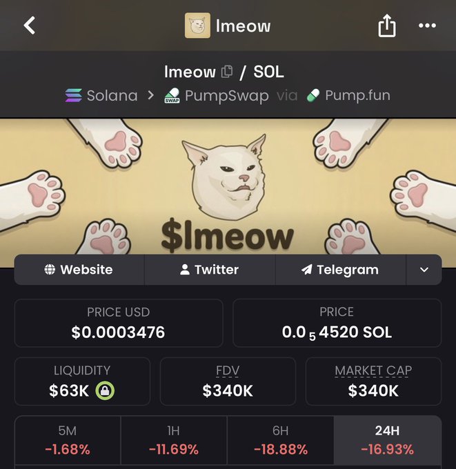 A cryptocurrency tracking app page showing the $lmeow token on Solana via PumpSwap via Pump.fun, with a price of $0.0003476 USD, $63K liquidity, $340K market cap, and 24-hour decline of -16.93%.