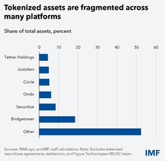 An IMF infographic titled 'Tokenized assets are fragmented across many platforms' showing the share of total assets by platform, with Tether Holdings, Justoken, Circle, Ondo, Securitize, Bridgtower, and Other categories.