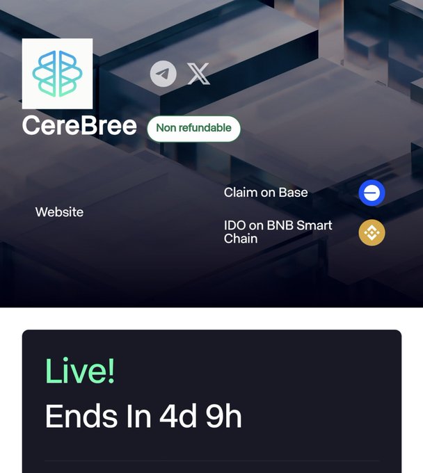 A promotional image for the CereBree token offering shows a "Live!" IDO on BNB Smart Chain that is non-refundable and ends in 4 days 9 hours, with options to claim on Base and visit the website. The graphic reinforces the post's urgency about the limited 4-day window remaining to subscribe to CereBree via USDC before its launch.