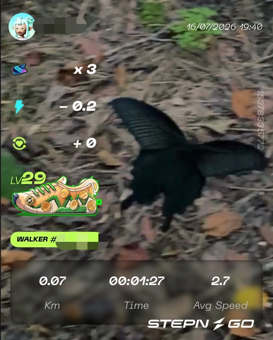 A STEPN GO app screenshot capturing a black bird on the ground, with movement stats showing 0.07 km, 00:01:27 time, and an Lv29 Walker sneaker NFT.
