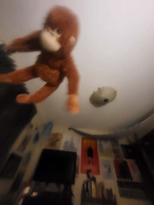 A blurry, motion-filled photo of a stuffed monkey being tossed through the air against a white ceiling, with a bedroom visible below featuring walls covered in posters and artwork. The dynamic movement captures the playful act of "throwing around" the plush toy mentioned in the post.
