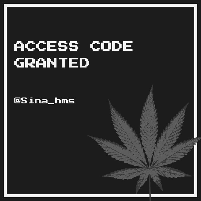 A pixel-art style graphic reading 'ACCESS CODE GRANTED' with the username @Sina_hws and a grey cannabis leaf on a black background.