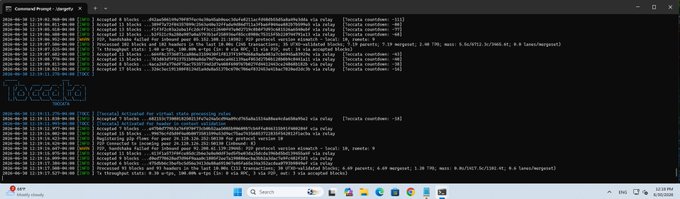 Command prompt screenshot showing Tor relay log output with repeated lines indicating Accepted & Rejected blocks, alongside a 'Torccella RELAY' watermark.