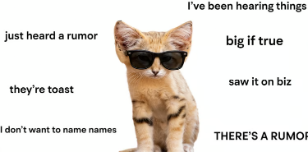A humorous internet meme featuring a serval or similar wild cat wearing sunglasses, surrounded by phrases including "I've been hearing things," "just heard a rumor," "big if true," "they're toast," "saw it on biz," "I don't want to name names," and "THERE'S A RUMOR."