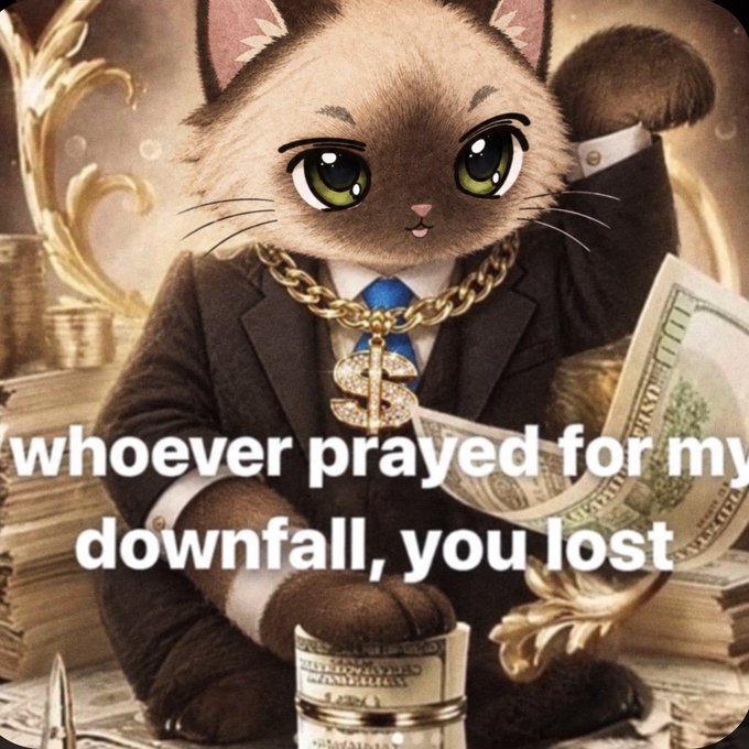 An anthropomorphic cat in a suit and gold chain holds cash with text reading 'whoever prayed for my downfall, you lost'.