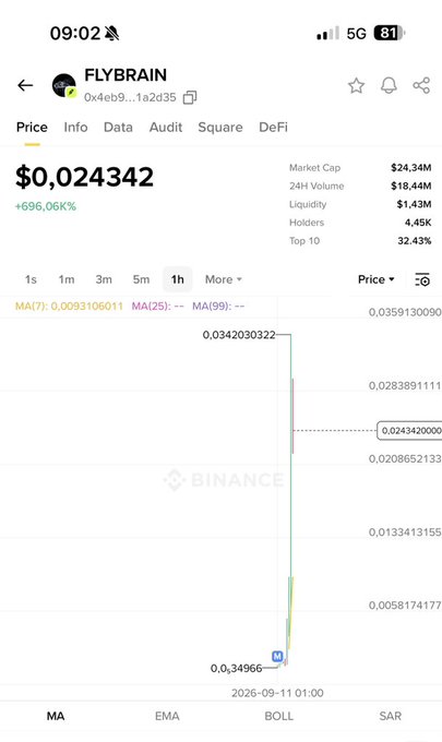 Binance price page for the FLYBRAIN token (contract 0x4eb9...1a2d35) showing a current price of $0.024342, a market cap of $24.34M, and a dramatic 696.06% price spike on the 1-hour chart.