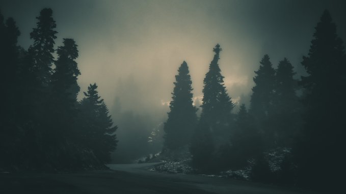 A dark, foggy mountain landscape with tall pine trees silhouetted against a hazy, sunlit sky, with a road winding through the foreground.