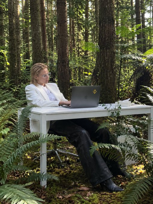 A person with short blonde hair and glasses works on a laptop at a white desk set up in a lush green forest surrounded by ferns and tall trees.