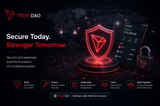 A TRON DAO security awareness graphic featuring the tagline 'Secure Today. Stronger Tomorrow.' alongside a glowing red TRON shield, a phone displaying a $12,250.00 wallet, and icons for Verify, Protect, Understand, Learn, and Build Together.