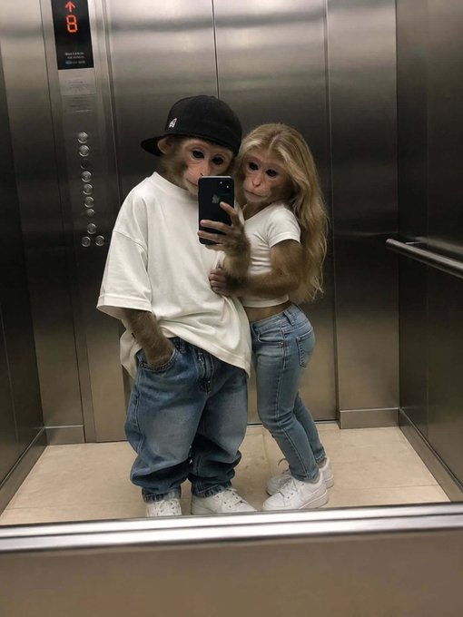 Two people in monkey masks taking a mirror selfie in an elevator, one wearing a white t-shirt and backwards cap, and the other in a white crop top, jeans, and blonde wig.