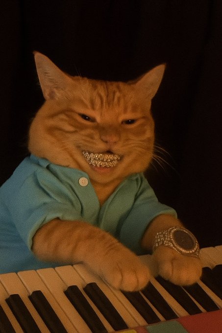 An orange cat with a jeweled grin and a sparkling wristwatch sits at a keyboard, wearing a teal polo shirt against a dark background.