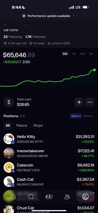 A screenshot of a financial portfolio app for 'cat coins' showing a balance of '$65,646.89', positions including 'Hello Kitty', 'meowtakeover', 'Catecoin', and 'Cash Cat', and a green upward trending chart.