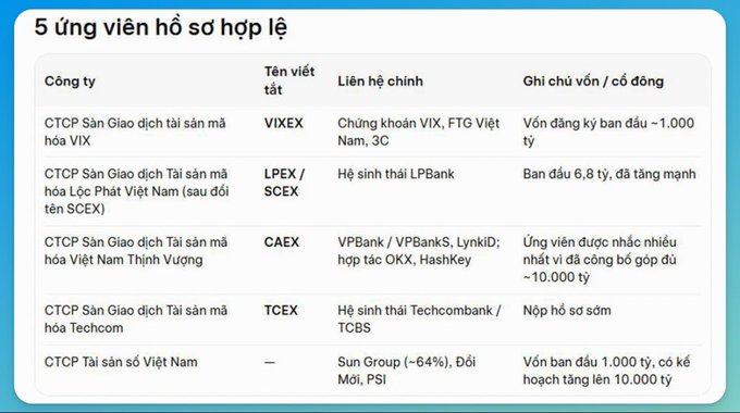 A table titled "5 ứng viên hồ sơ hợp lệ" (5 valid applicants) lists Vietnamese crypto exchange license candidates including VIXEX, LPEX/SCEX, CAEX, TCEX, and Sun Group-affiliated entities, with their affiliations to companies like LPBank, VPBank, Techcombank, and VIX, along with initial capital ranging from 1,000 to 10,000 billion VND—illustrating which major financial players are positioning themselves to build Vietnam's licensed crypto trading infrastructure rather than facing an outright ban.