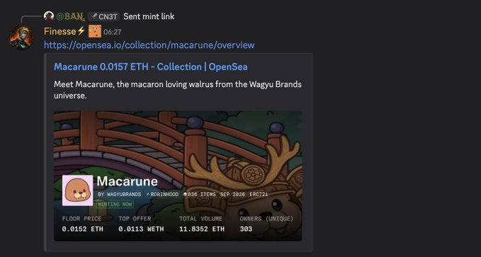 A Discord message from '@BAN' with the text 'Finesse' and a link to an OpenSea collection page for 'Macarune' featuring a walrus-like character.