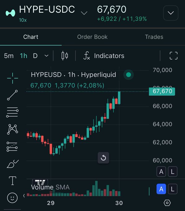 A trading interface on Hyperliquid showing the HYPE-USDC pair at 67.670 (+11.39%), with a 1-hour candlestick chart indicating a bullish price movement.