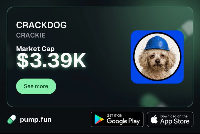 A promotional graphic for the cryptocurrency 'CRACKDOG' (ticker: CRACKIE) showing a market cap of $3.39K, featuring a photo of a dog wearing a blue construction helmet, with pump.fun, Google Play, and App Store logos.